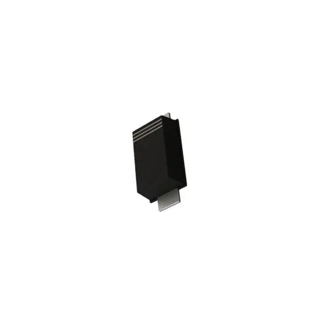 DSK310
